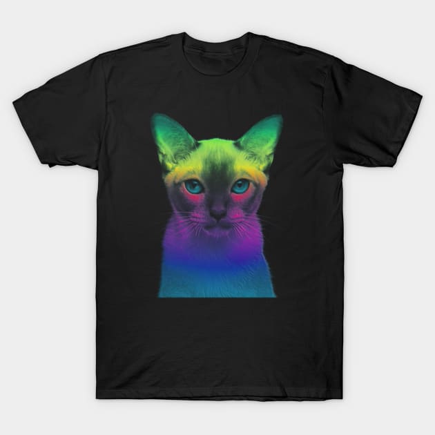 RAINBOW KITTY T-Shirt by BG305